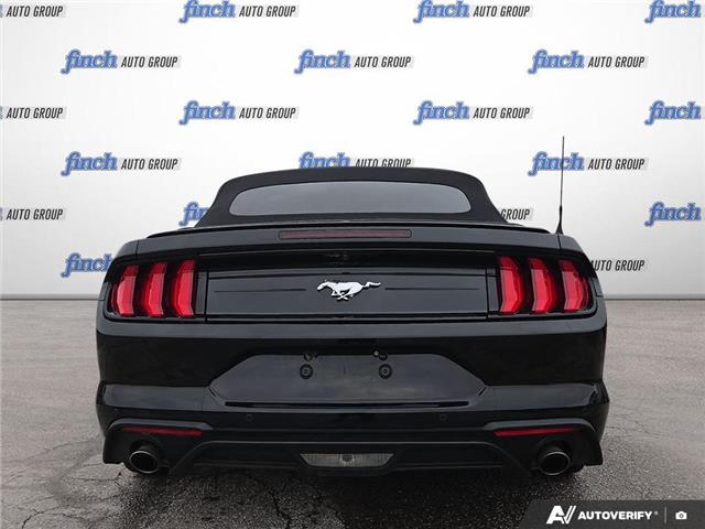 2023 Ford Mustang EcoBoost Premium (Stk: 984) in Kitchener - Image 5 of 24
