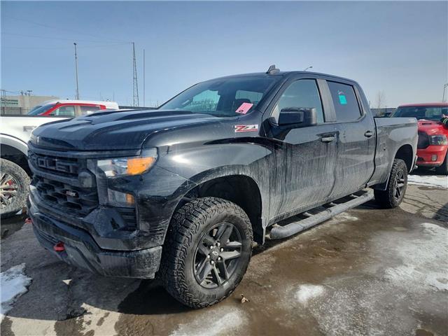 2024 Chevrolet Silverado 1500 Custom Trail Boss (Stk: 43843J) in Belleville - Image 1 of 8