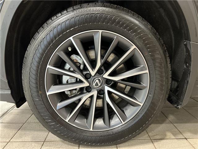 2023 Lexus NX 350h  (Stk: 14U7424) in Markham - Image 11 of 28