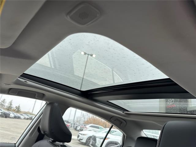 2025 Toyota Camry XLE (Stk: U552900A) in Cranbrook - Image 18 of 20