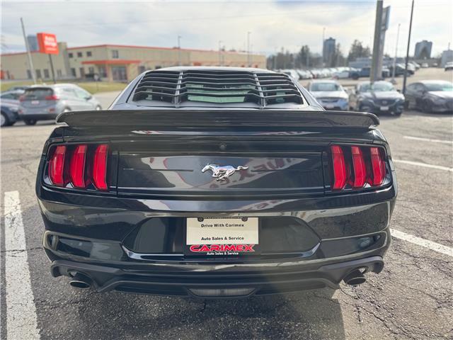 2018 Ford Mustang EcoBoost (Stk: 2508439) in Waterloo - Image 4 of 19