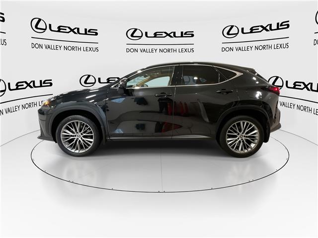 2024 Lexus NX 350  (Stk: 14U7414) in Markham - Image 6 of 29