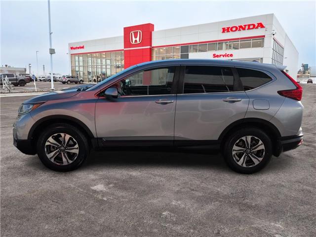 2019 Honda CR-V LX (Stk: C1706) in Lethbridge - Image 6 of 22