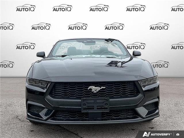 2026 Ford Mustang EcoBoost Premium (Stk: 260231) in Hamilton - Image 2 of 20