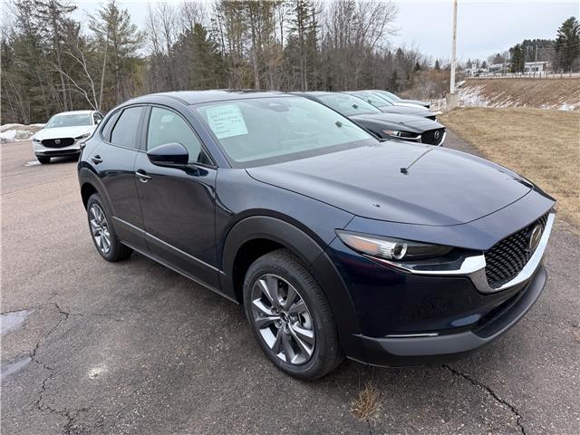 2026 Mazda CX-30 GS (Stk: 226-28) in Pembroke - Image 4 of 5