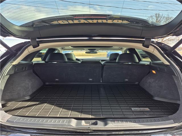 2021 Infiniti QX50 Luxe (Stk: -) in Sussex - Image 6 of 11