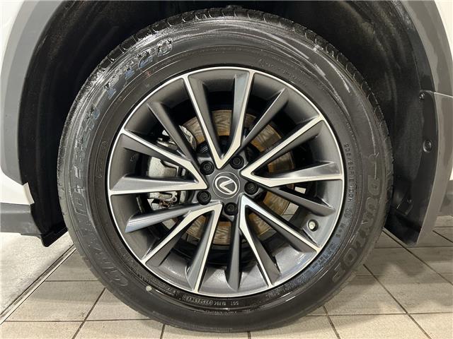 2023 Lexus NX 250  (Stk: 14U7413) in Markham - Image 11 of 25