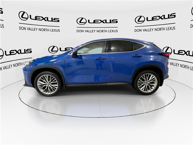 2024 Lexus NX 350h  (Stk: 14112179A) in Markham - Image 6 of 28
