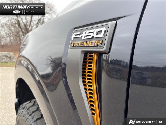 2026 Ford F-150 Tremor (Stk: 6F163454) in Brantford - Image 9 of 24