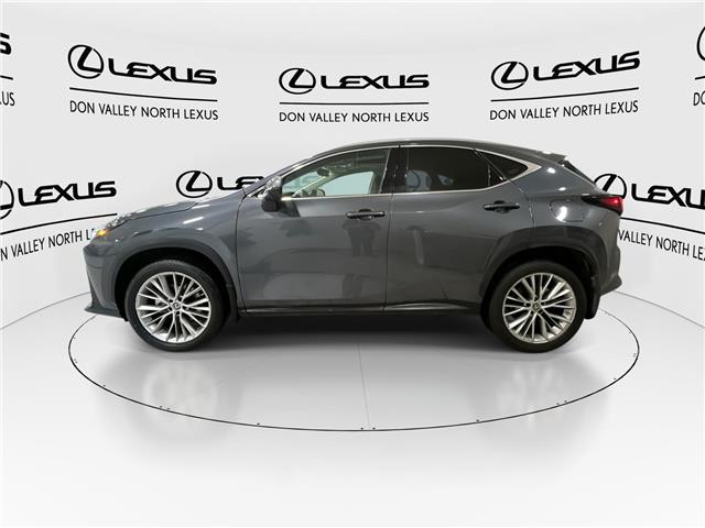 2023 Lexus NX 350  (Stk: 14112288A) in Markham - Image 6 of 29