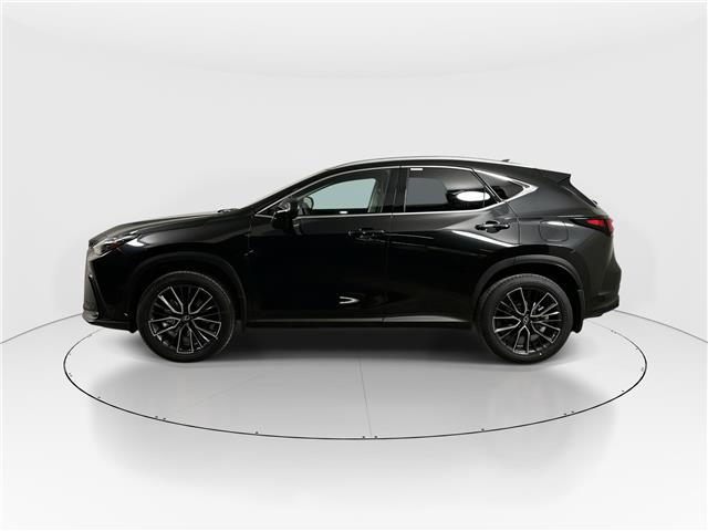 2026 Lexus NX 350h Base (Stk: 14112222) in Markham - Image 5 of 9