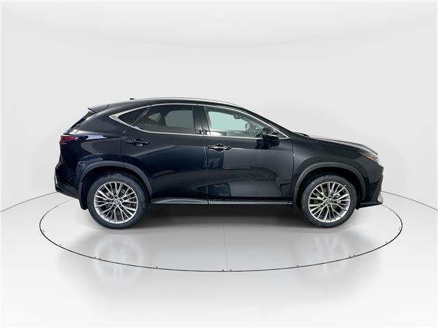 2026 Lexus NX 350h  (Stk: 14112284) in Markham - Image 8 of 8