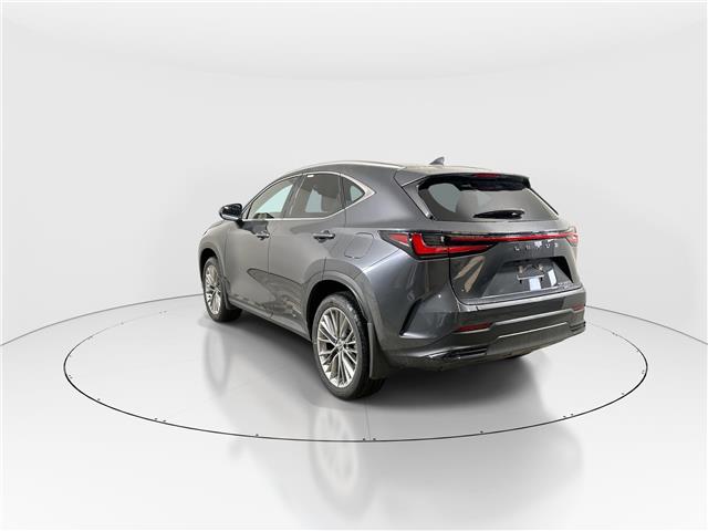 2026 Lexus NX 350h  (Stk: 14112377) in Markham - Image 5 of 8