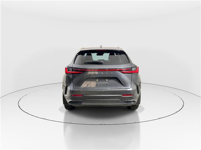 2026 Lexus NX 350h  (Stk: 14112377) in Markham - Image 6 of 8