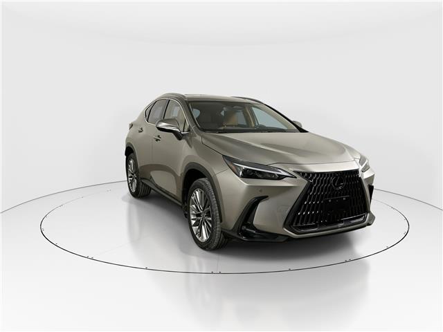 2026 Lexus NX 350h  (Stk: 15105729) in Richmond Hill - Image 1 of 8