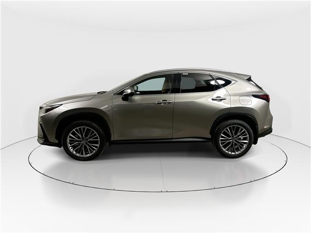 2026 Lexus NX 350h  (Stk: 15105729) in Richmond Hill - Image 4 of 8