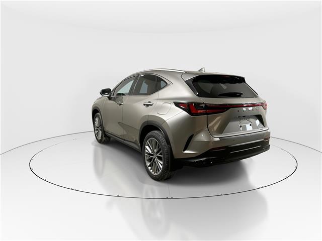 2026 Lexus NX 350h  (Stk: 15105729) in Richmond Hill - Image 5 of 8