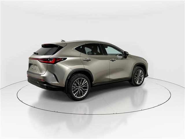 2026 Lexus NX 350h  (Stk: 15105729) in Richmond Hill - Image 7 of 8