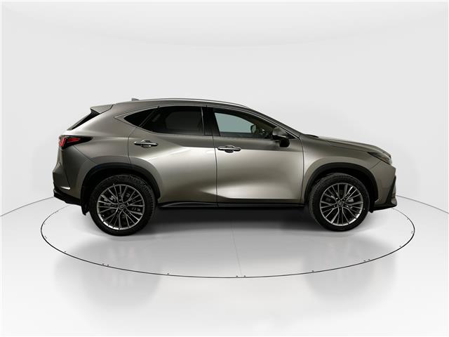 2026 Lexus NX 350h  (Stk: 15105729) in Richmond Hill - Image 8 of 8