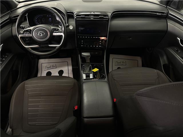 2024 Hyundai Santa Cruz Preferred (Stk: 43695J) in Belleville - Image 7 of 27