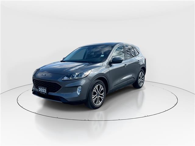 2022 Ford Escape SEL (Stk: 16105281A) in Markham - Image 4 of 14