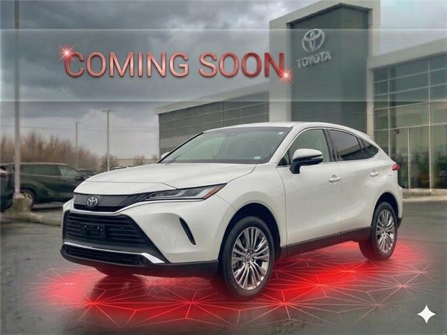 Used 2023 Toyota Venza LE  - Sunroof -  Cooled Seats - Cranbrook - Cranbrook Toyota