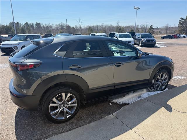 2022 Mazda CX-30 GS (Stk: 24798) in Pembroke - Image 10 of 24