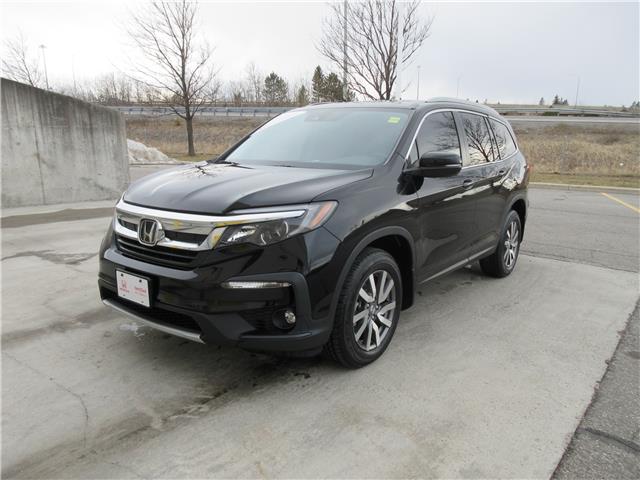 2021 Honda Pilot EX-L Navi (Stk: U1396) in Ottawa - Image 1 of 19
