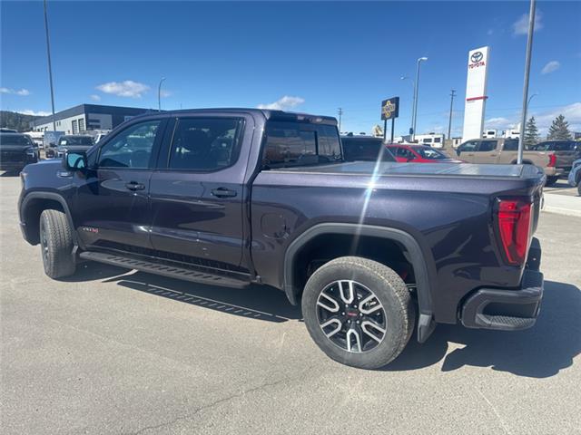 2022 GMC Sierra 1500 AT4 (Stk: X128664A) in Cranbrook - Image 3 of 20