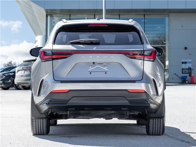 2025 Lexus NX 350  (Stk: 15T1803A) in Richmond Hill - Image 7 of 28