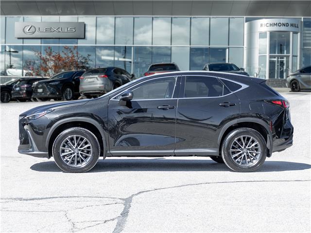 2025 Lexus NX 350h  (Stk: 15T1805A) in Richmond Hill - Image 4 of 28