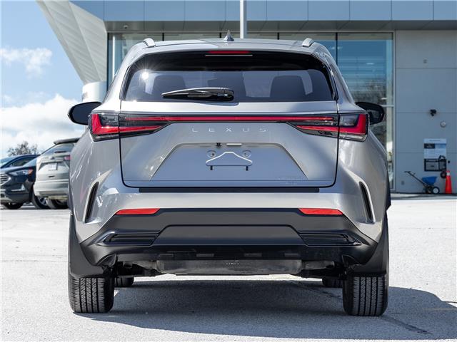 2025 Lexus NX 350h  (Stk: 15105671A) in Richmond Hill - Image 7 of 28