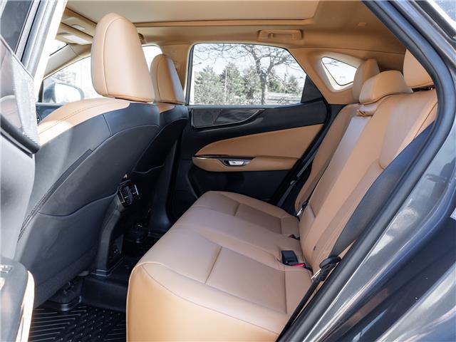 2025 Lexus NX 350  (Stk: 15105672A) in Richmond Hill - Image 27 of 29