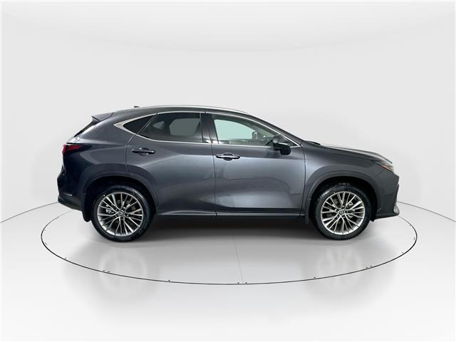 2026 Lexus NX 350h Base (Stk: 14112435) in Markham - Image 8 of 8