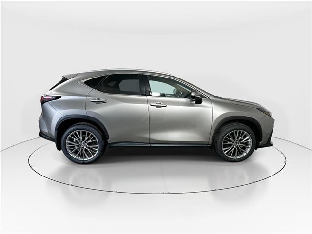 2026 Lexus NX 350  (Stk: 15105735) in Richmond Hill - Image 8 of 8