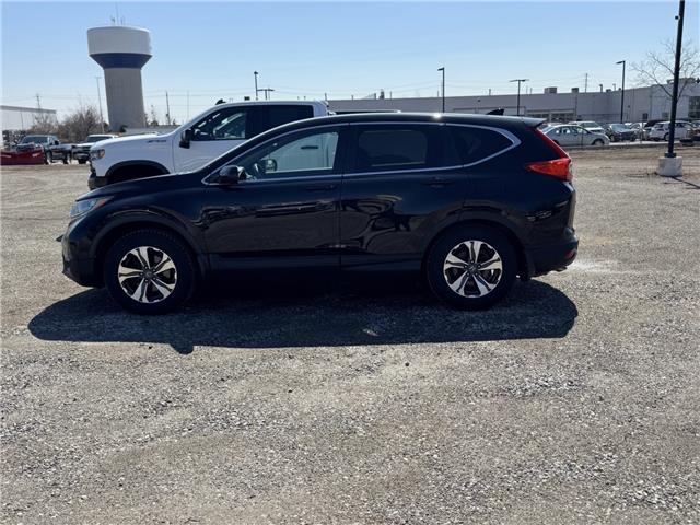 2018 Honda CR-V LX (Stk: 43051) in Georgetown - Image 2 of 14