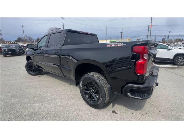 2024 Chevrolet Silverado 1500 Custom Trail Boss (Stk: 26112) in Sudbury - Image 6 of 24