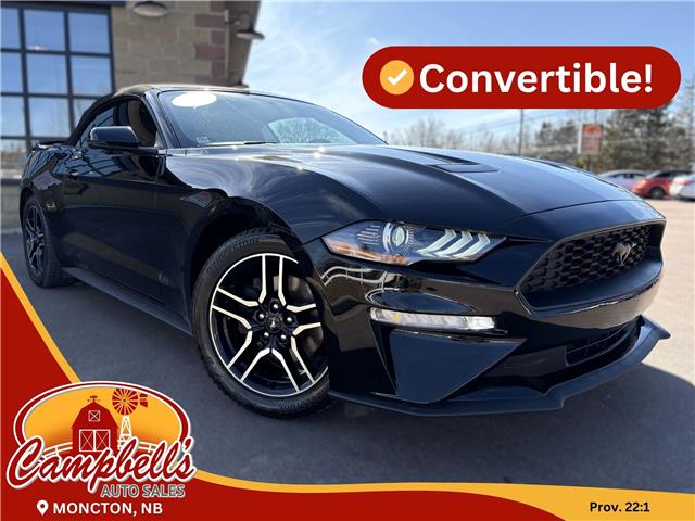 2019 Ford Mustang EcoBoost Premium (Stk: A-5164438) in Moncton - Image 1 of 20