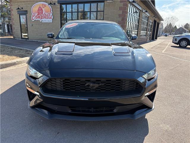 2019 Ford Mustang EcoBoost Premium (Stk: A-164438) in Moncton - Image 2 of 20 2019 Ford Mustang EcoBoost Premium (Stk: A-164438) in Moncton - Image 2 of 20