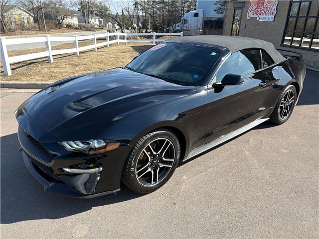 2019 Ford Mustang EcoBoost Premium (Stk: A-164438) in Moncton - Image 3 of 20 2019 Ford Mustang EcoBoost Premium (Stk: A-164438) in Moncton - Image 3 of 20