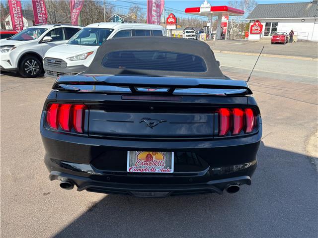 2019 Ford Mustang EcoBoost Premium (Stk: A-164438) in Moncton - Image 5 of 20 2019 Ford Mustang EcoBoost Premium (Stk: A-164438) in Moncton - Image 5 of 20