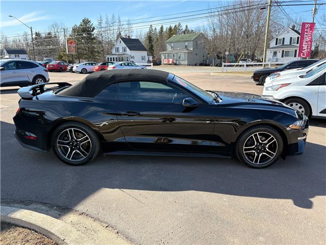 2019 Ford Mustang EcoBoost Premium (Stk: A-164438) in Moncton - Image 8 of 20 2019 Ford Mustang EcoBoost Premium (Stk: A-164438) in Moncton - Image 8 of 20