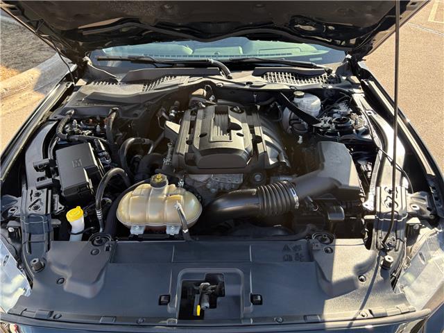 2019 Ford Mustang EcoBoost Premium (Stk: A-164438) in Moncton - Image 10 of 20 2019 Ford Mustang EcoBoost Premium (Stk: A-164438) in Moncton - Image 10 of 20