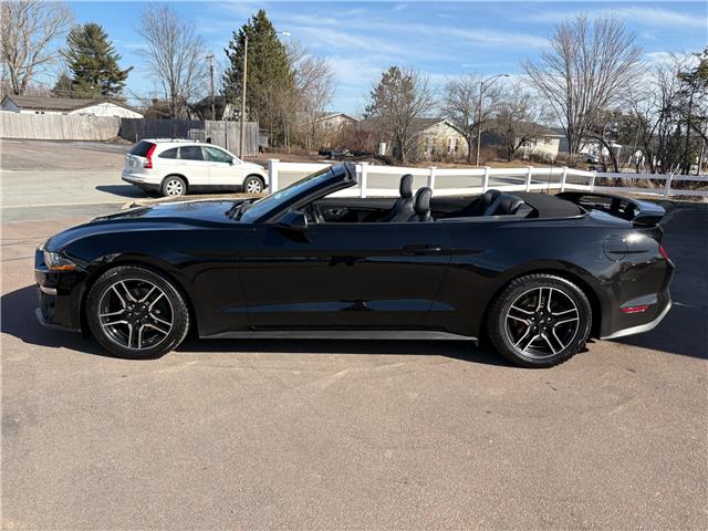 2019 Ford Mustang EcoBoost Premium (Stk: A-164438) in Moncton - Image 4 of 20 2019 Ford Mustang EcoBoost Premium (Stk: A-164438) in Moncton - Image 4 of 20
