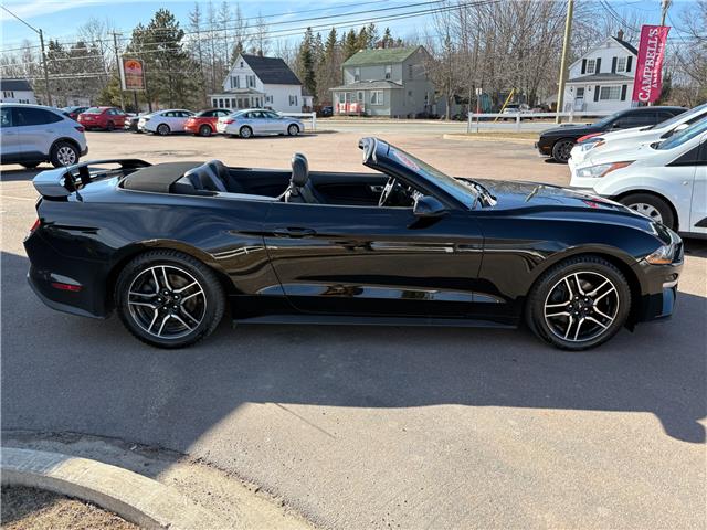 2019 Ford Mustang EcoBoost Premium (Stk: A-164438) in Moncton - Image 7 of 20 2019 Ford Mustang EcoBoost Premium (Stk: A-164438) in Moncton - Image 7 of 20
