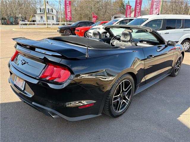2019 Ford Mustang EcoBoost Premium (Stk: A-164438) in Moncton - Image 6 of 20 2019 Ford Mustang EcoBoost Premium (Stk: A-164438) in Moncton - Image 6 of 20