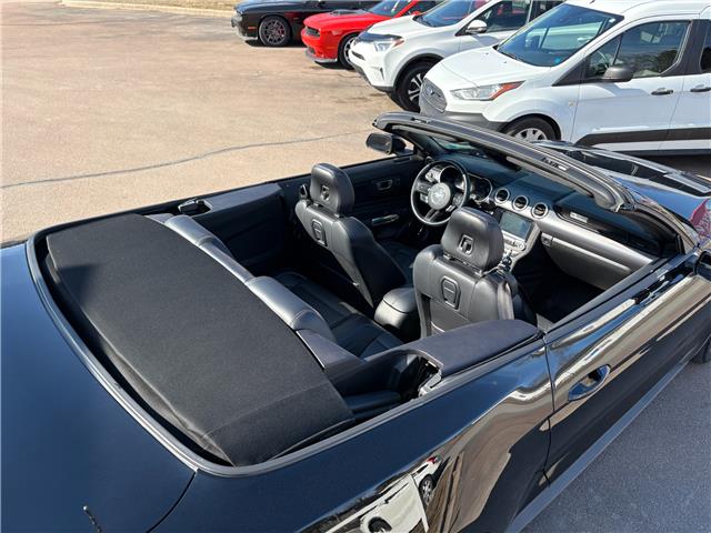 2019 Ford Mustang EcoBoost Premium (Stk: A-164438) in Moncton - Image 11 of 20 2019 Ford Mustang EcoBoost Premium (Stk: A-164438) in Moncton - Image 11 of 20