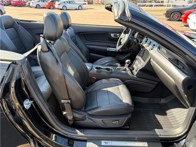 2019 Ford Mustang EcoBoost Premium (Stk: A-164438) in Moncton - Image 19 of 20 2019 Ford Mustang EcoBoost Premium (Stk: A-164438) in Moncton - Image 19 of 20