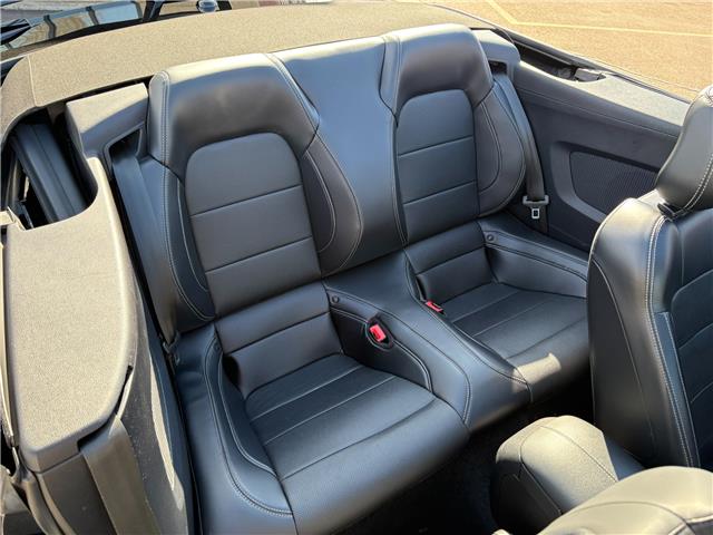 2019 Ford Mustang EcoBoost Premium (Stk: A-164438) in Moncton - Image 20 of 20 2019 Ford Mustang EcoBoost Premium (Stk: A-164438) in Moncton - Image 20 of 20