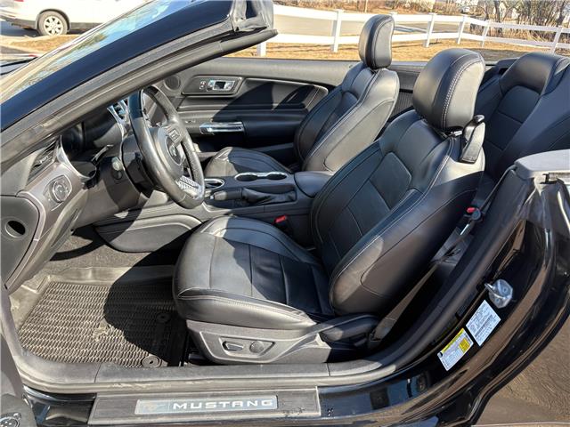 2019 Ford Mustang EcoBoost Premium (Stk: A-164438) in Moncton - Image 13 of 20 2019 Ford Mustang EcoBoost Premium (Stk: A-164438) in Moncton - Image 13 of 20